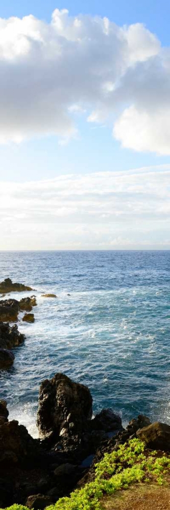 Art Print: Overlooking the Bluffs I