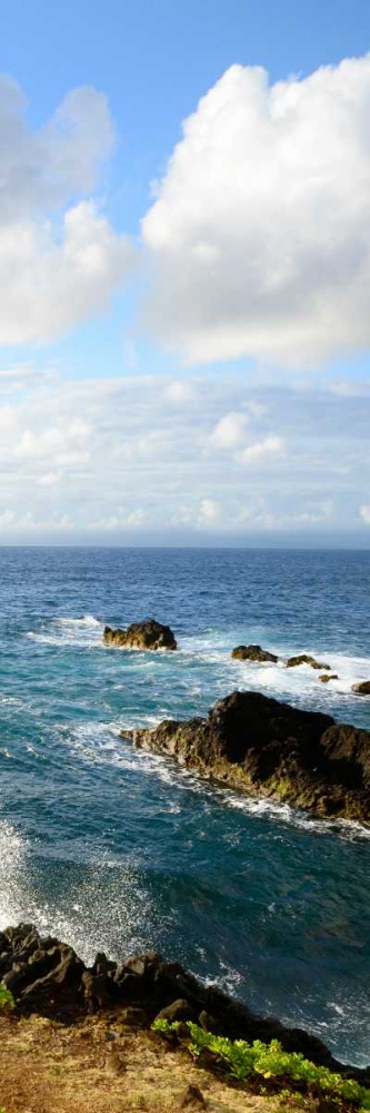 Art Print: Overlooking the Bluffs II