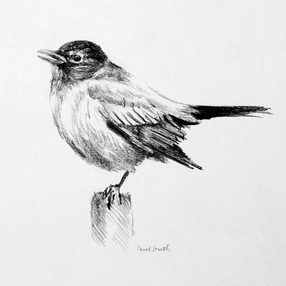 Wall art: Bird Drawing III, by Loreth, Lanie