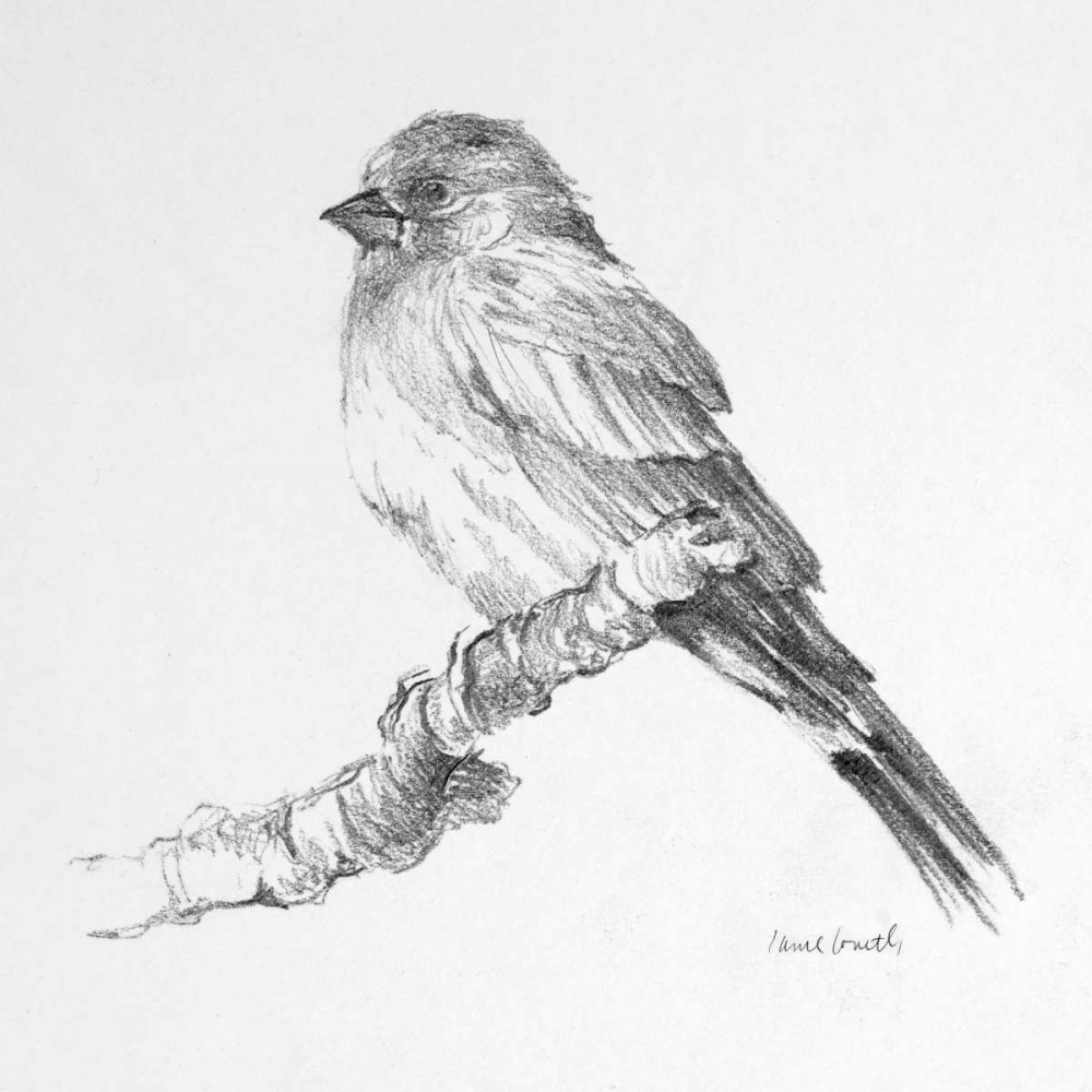 Wall art: Bird Drawing I, by Loreth, Lanie