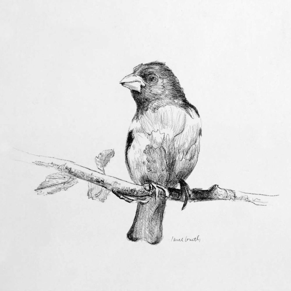 Wall art: Bird Drawing IV, by Loreth, Lanie