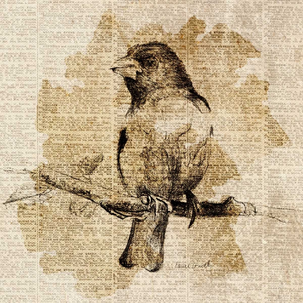 Art Print: Bird Study IV