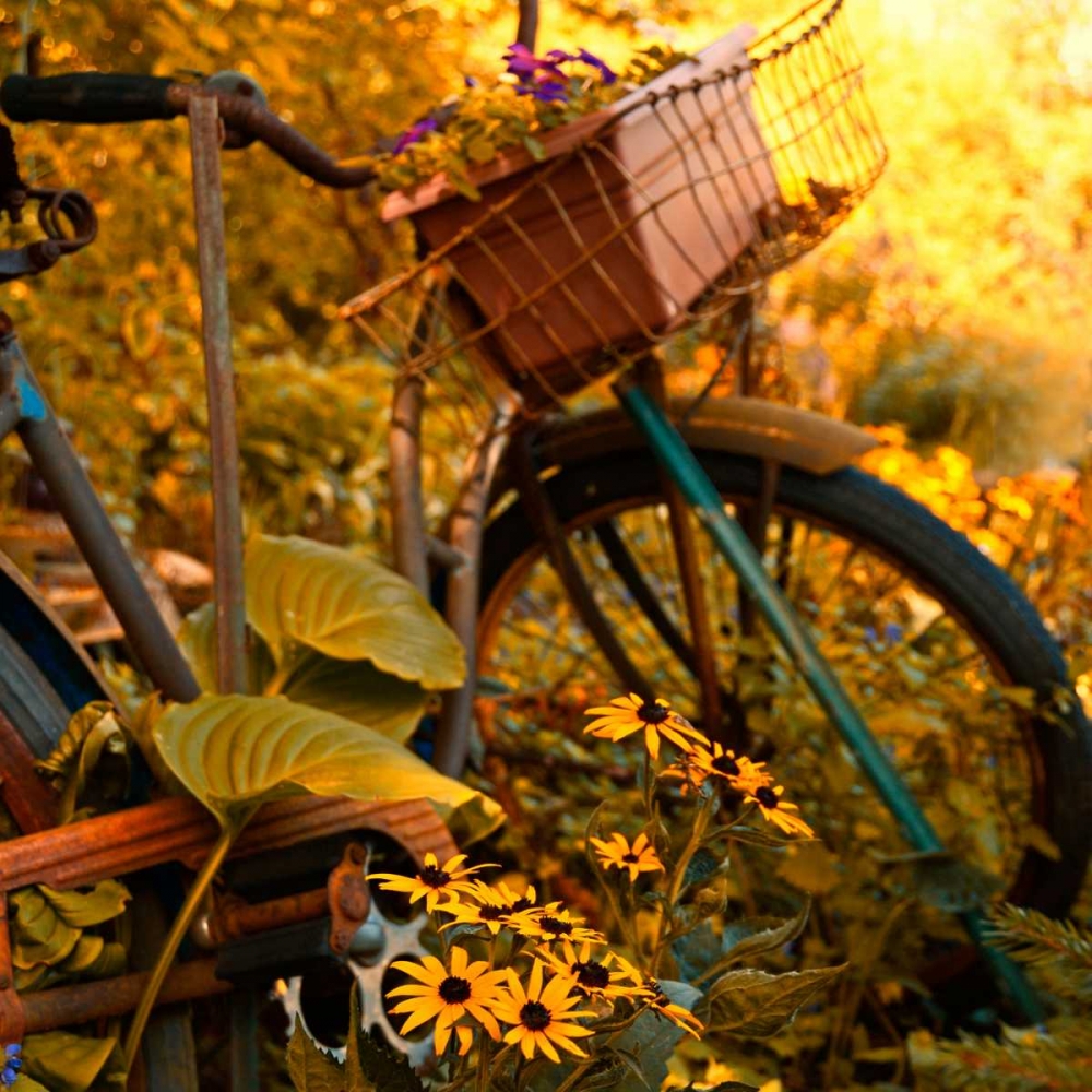 Art Print: Garden Bike