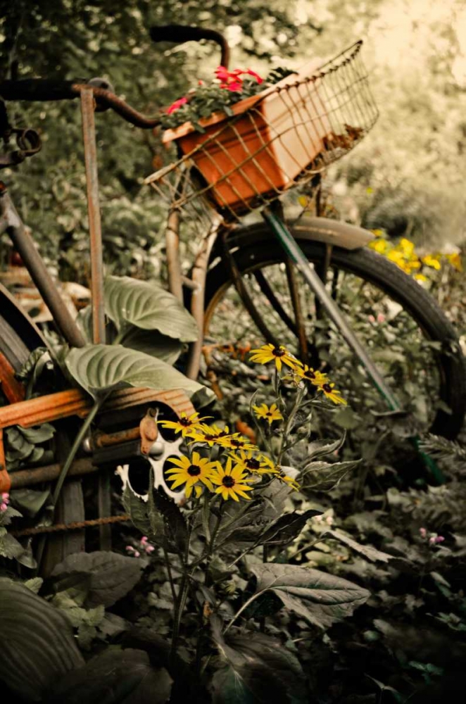 Art Print: In the Fields I