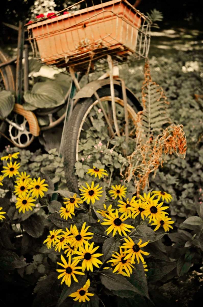 Art Print: In the Fields II