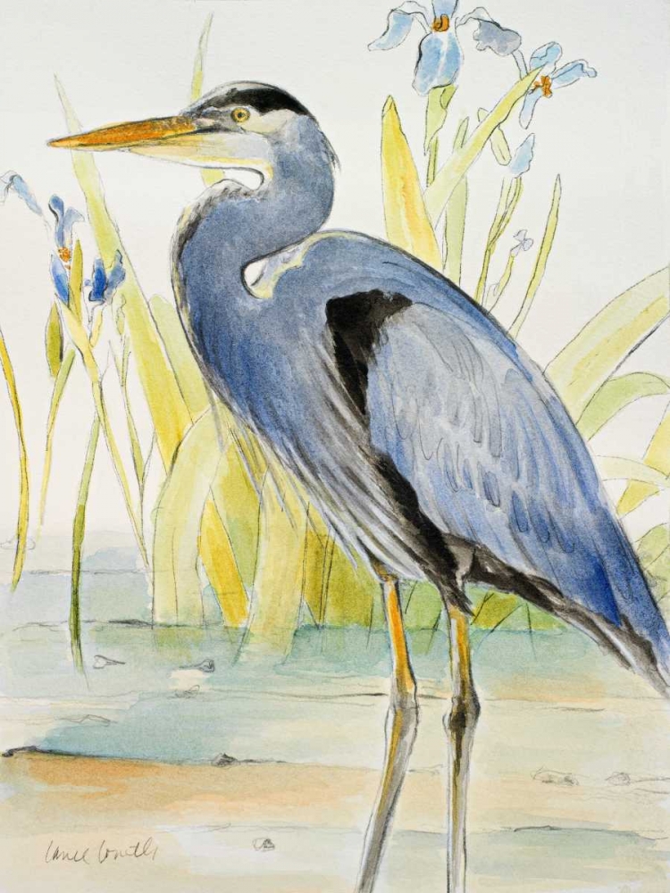 Art Print: Great Blue Heron