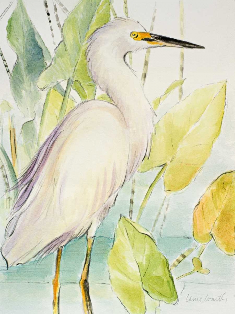 Art Print: Snowy Egret