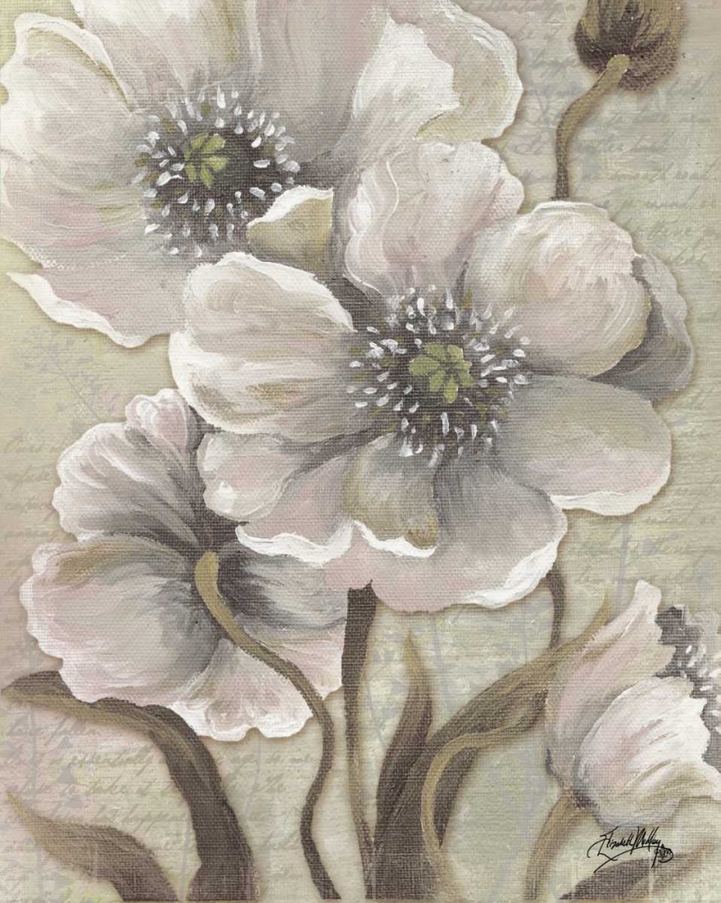 Wall Art Painting id:24234, Name: Scripted Beauty I, Artist: Medley, Elizabeth