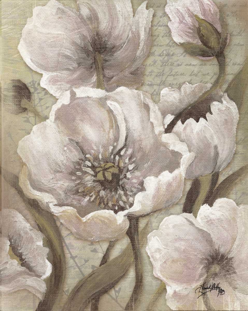 Wall Art Painting id:24235, Name: Scripted Beauty II, Artist: Medley, Elizabeth