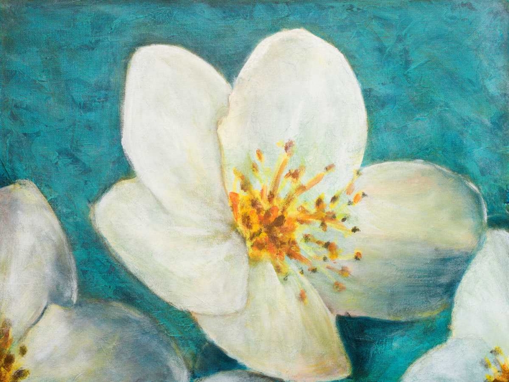 Wall Art Painting id:24395, Name: Purely Elegant I, Artist: Johnson, Walt