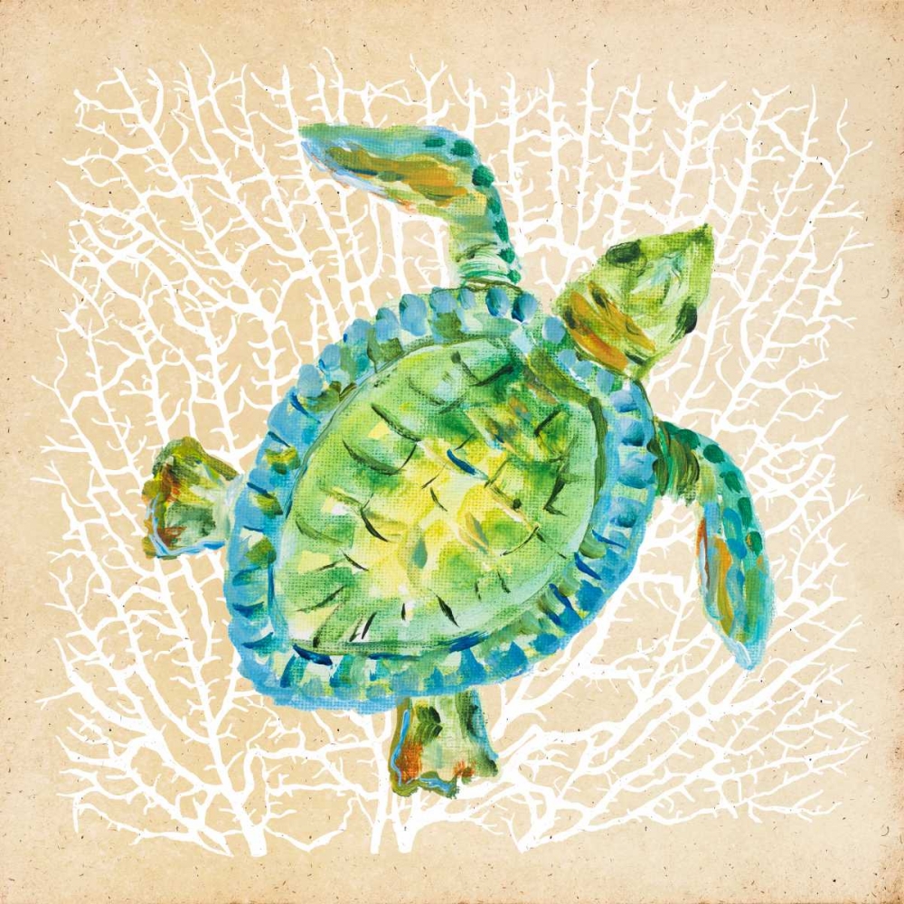 Wall Art Painting id:24397, Name: Sealife Turtle, Artist: DeRice, Julie