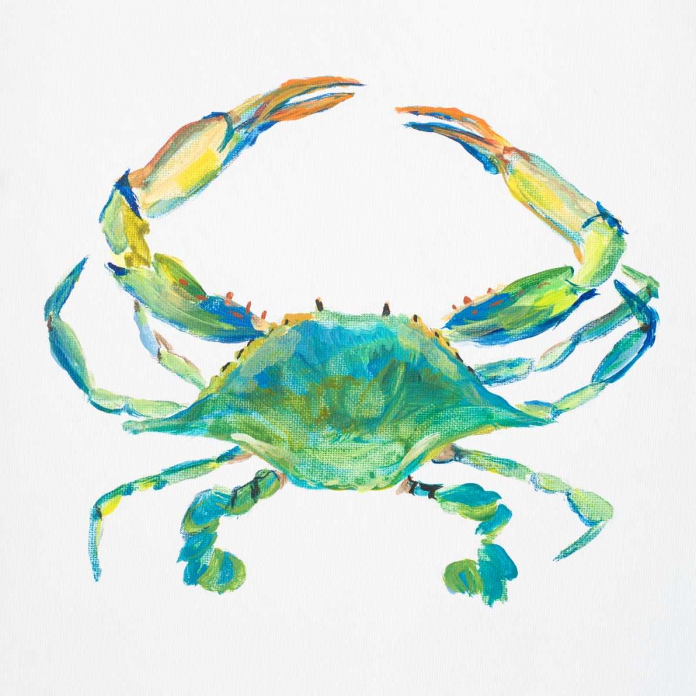 Wall Art Painting id:24402, Name: Sealife IV, Artist: DeRice, Julie