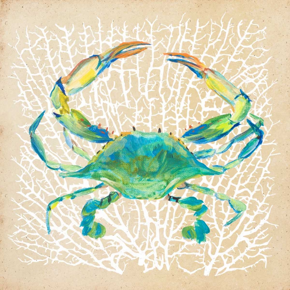 Wall Art Painting id:24400, Name: Sealife Crab, Artist: DeRice, Julie
