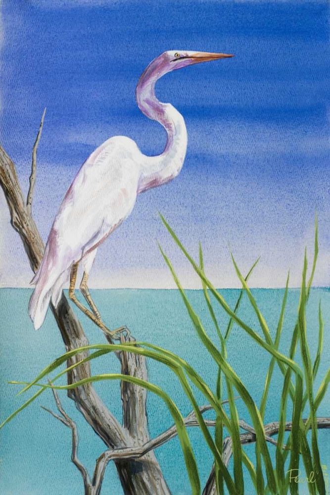 Wall Art Painting id:24404, Name: Seabirds At Noon II, Artist: Urban Pearl Collection, Llc