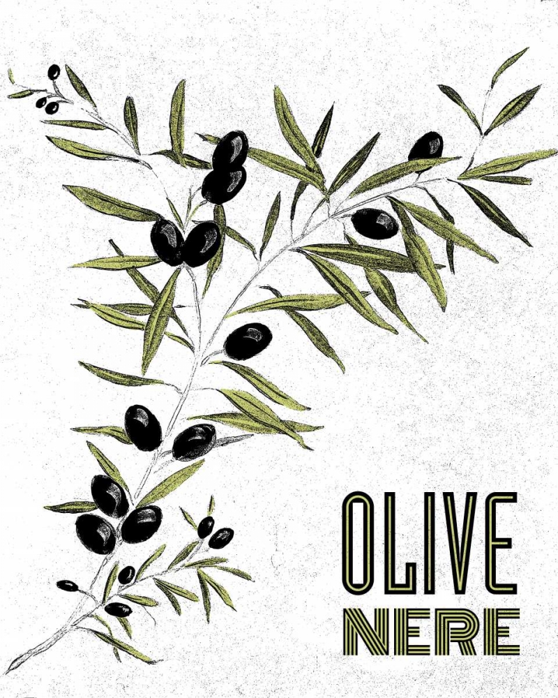 Art Print: Olive Nere