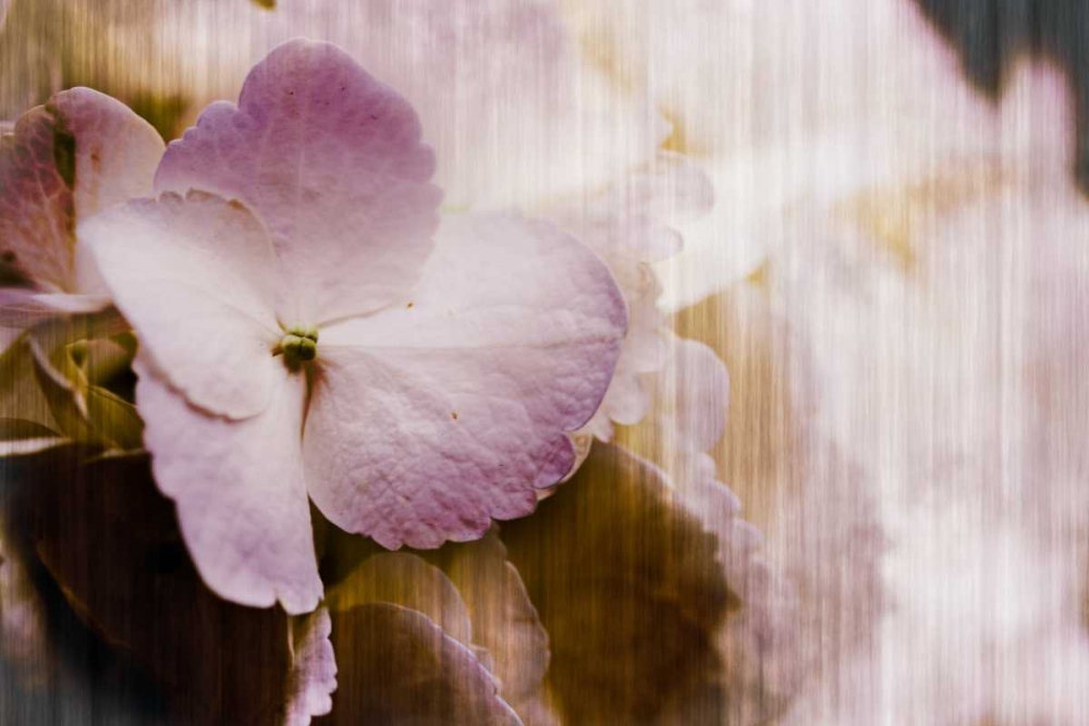 Art Print: Summer Home I