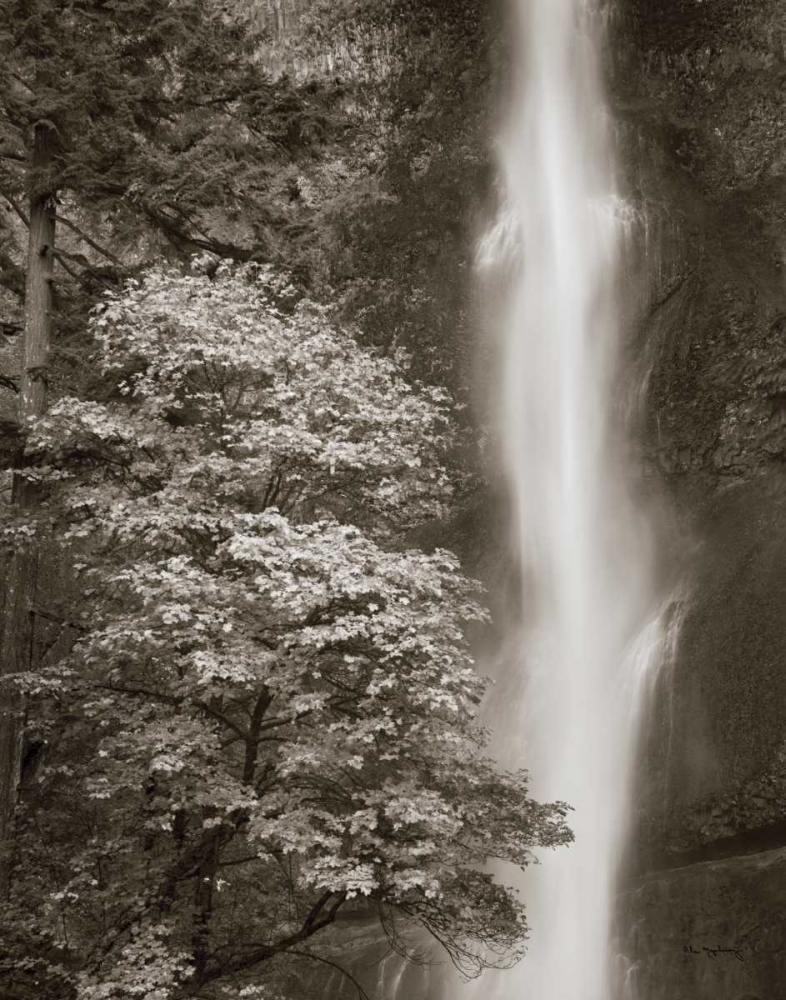 Wall Art Painting id:17427, Name: Multnomah Falls, Artist: Audit, Lisa