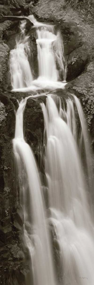 Wall Art Painting id:33411, Name: Kentucky Falls Panel, Artist: Audit, Lisa