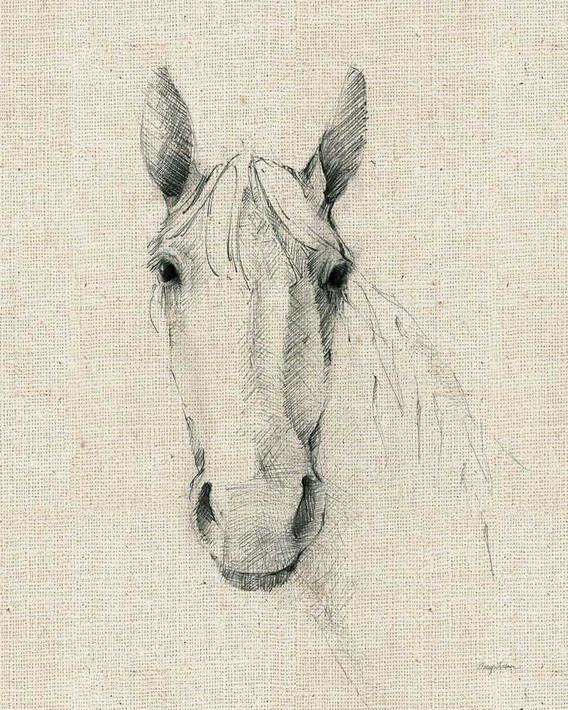 Art Print: Horse Sketch on Burlap