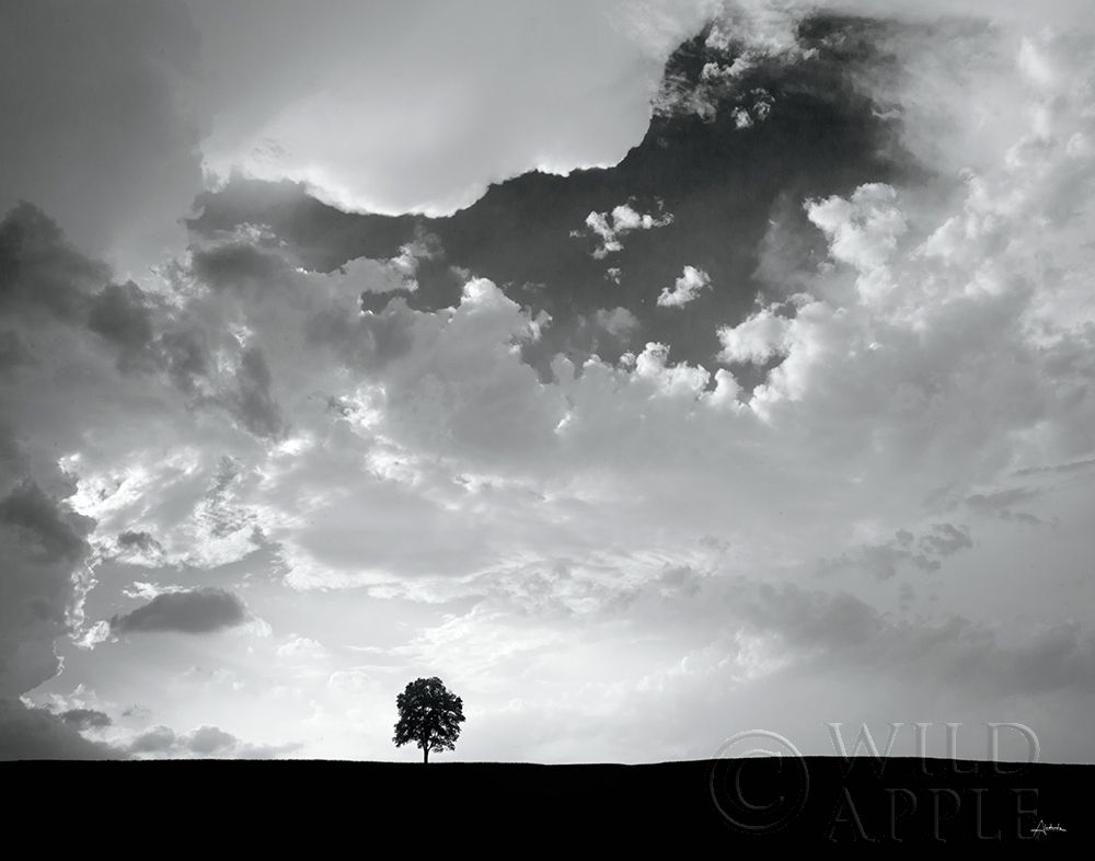 Art Print: Lone Tree