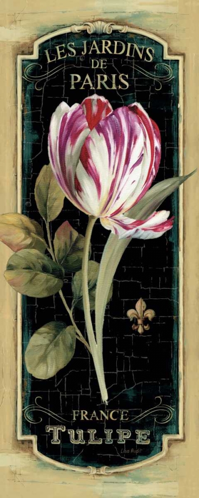 Wall Art Painting id:17247, Name: Garden View IV Black, Artist: Audit, Lisa