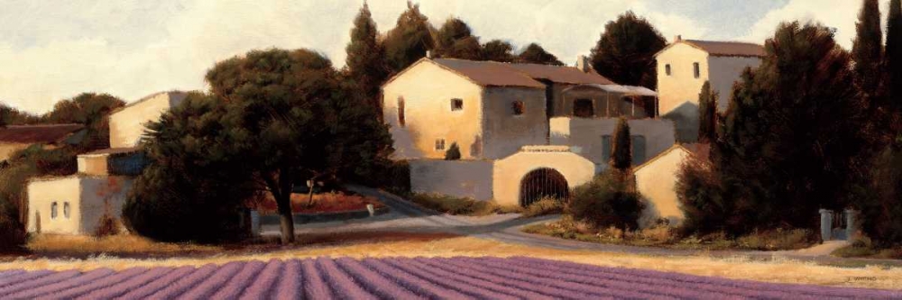 Wall Art Painting id:17223, Name: Lavender Fields Panel I Crop, Artist: Wiens, James