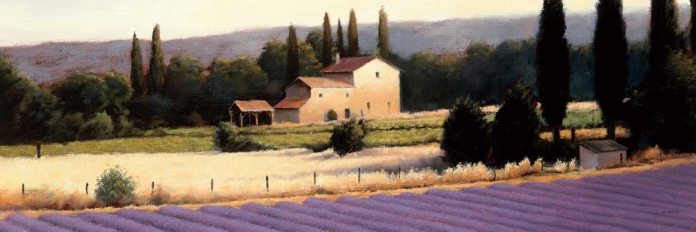 Wall Art Painting id:17224, Name: Lavender Fields Panel II Crop, Artist: Wiens, James