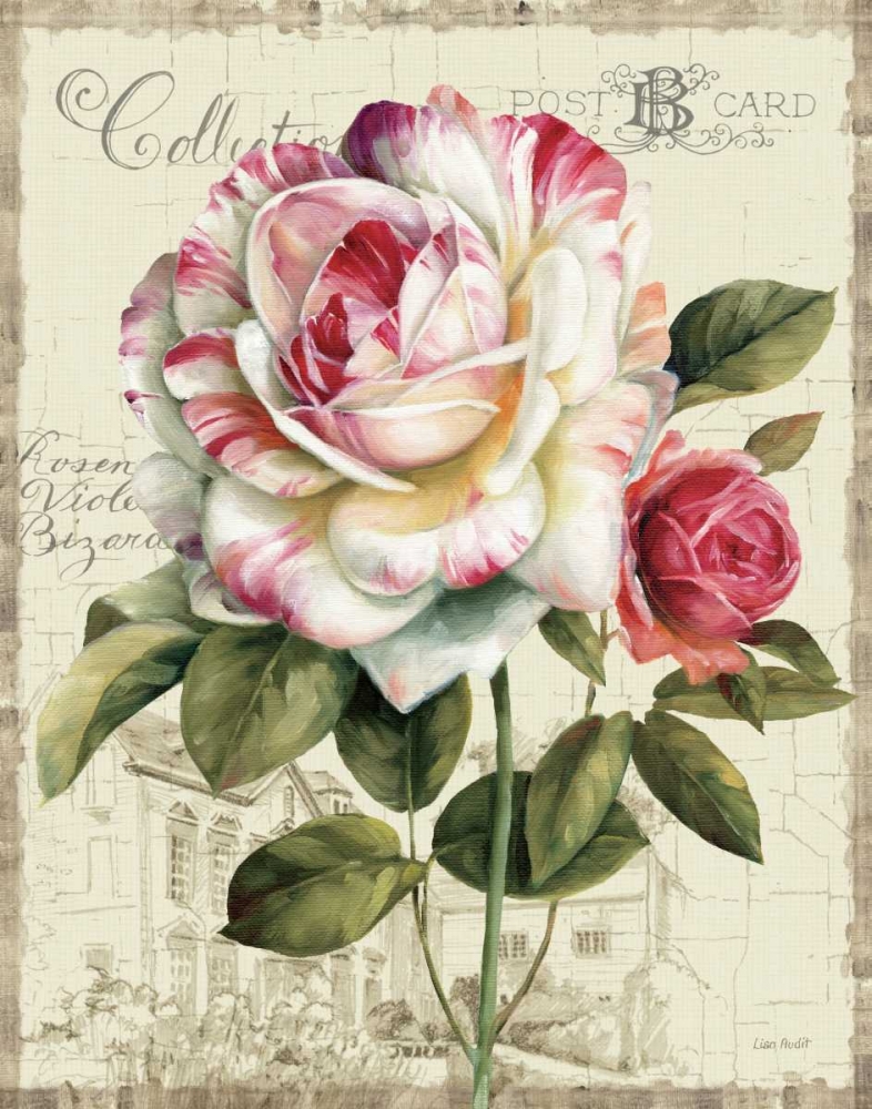 Wall Art Painting id:17146, Name: Garden View III - Rose, Artist: Audit, Lisa