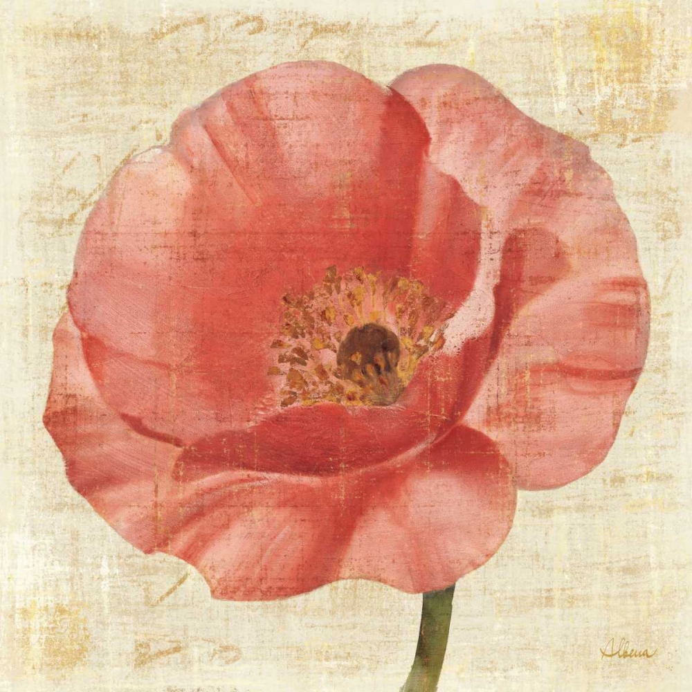 Wall Art Painting id:18134, Name: Blushing Poppy on Cream, Artist: Hristova, Albena