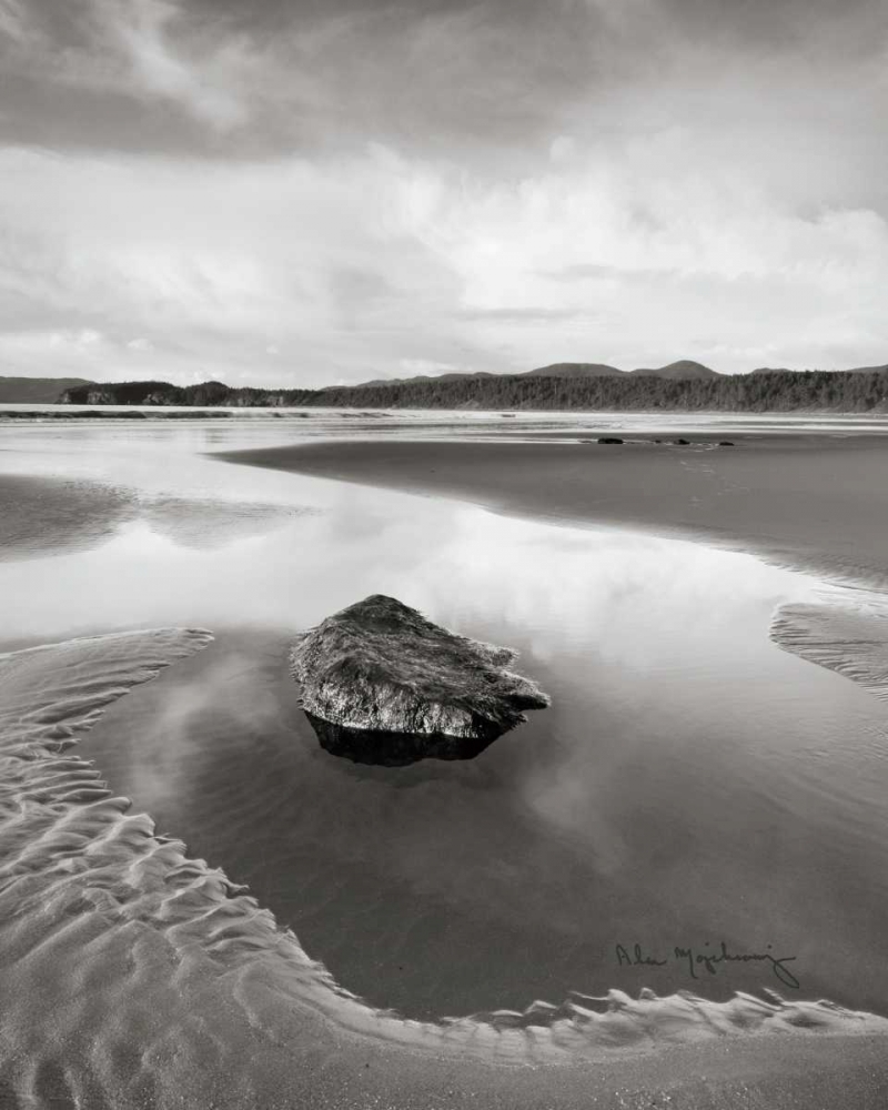 Art Print: Shi Shi Beach - Low Tide I