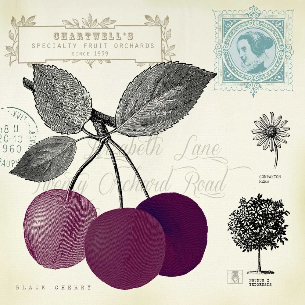 Wall art: Cherry Notes, by Studio Mousseau