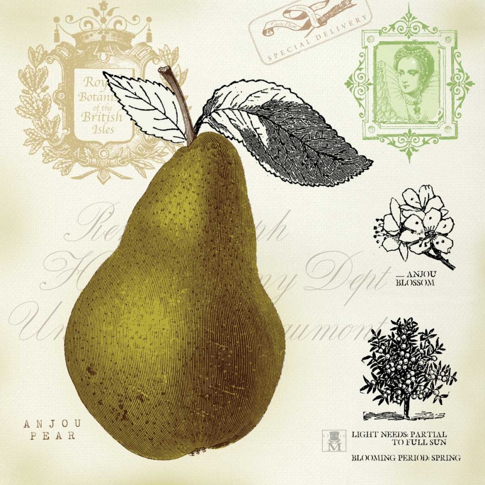 Wall art: Pear Notes, by Studio Mousseau