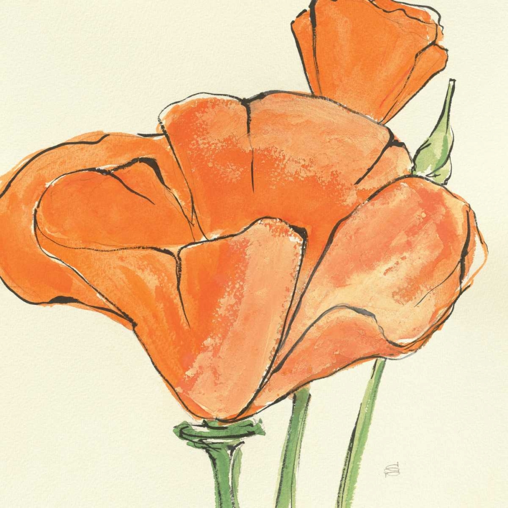 Wall Art Painting id:33798, Name: Sunshine Poppy IV, Artist: Paschke, Chris