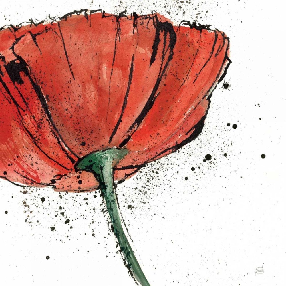 Wall Art Painting id:33616, Name: Not a California Poppy on White I, Artist: Paschke, Chris