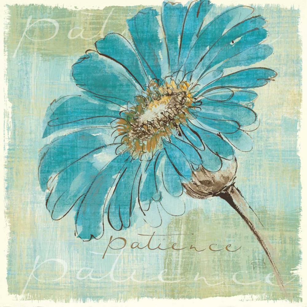 Wall Art Painting id:33658, Name: Spa Daisies II, Artist: Paschke, Chris