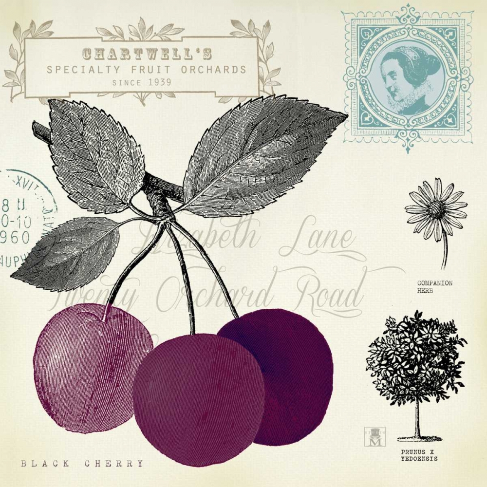 Art Print: Cherry Notes