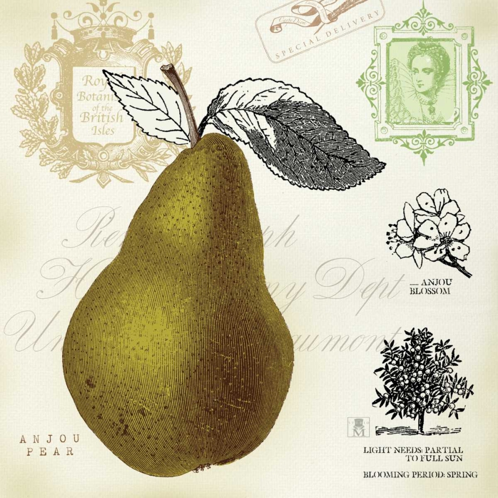 Art Print: Pear Notes