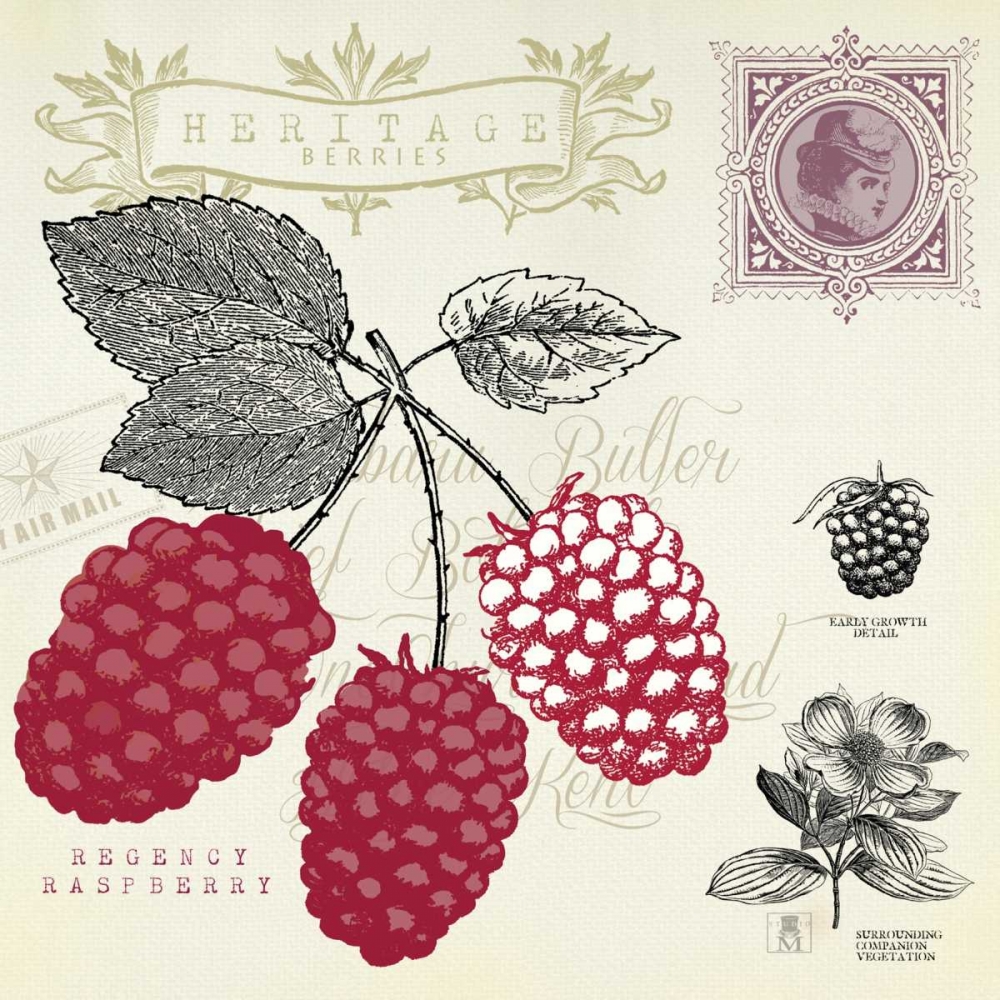 Art Print: Raspberry Notes