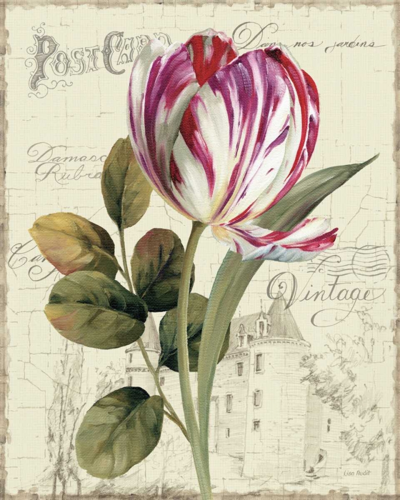 Wall Art Painting id:33856, Name: Garden View II - Tulip, Artist: Audit, Lisa