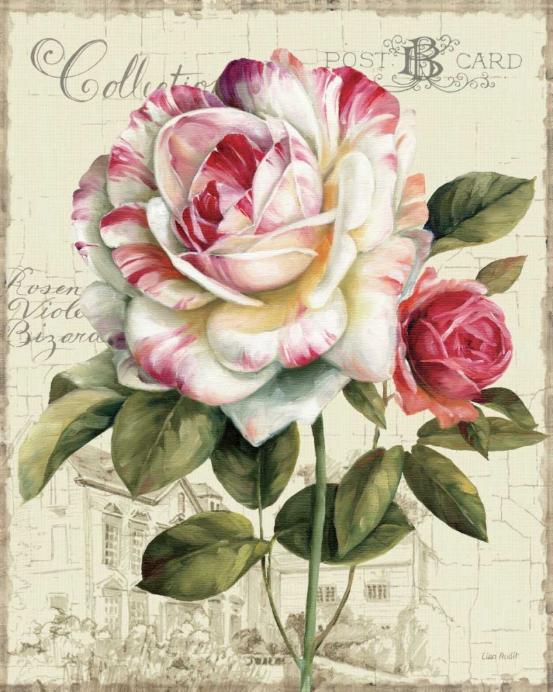 Wall Art Painting id:33857, Name: Garden View III - Rose, Artist: Audit, Lisa