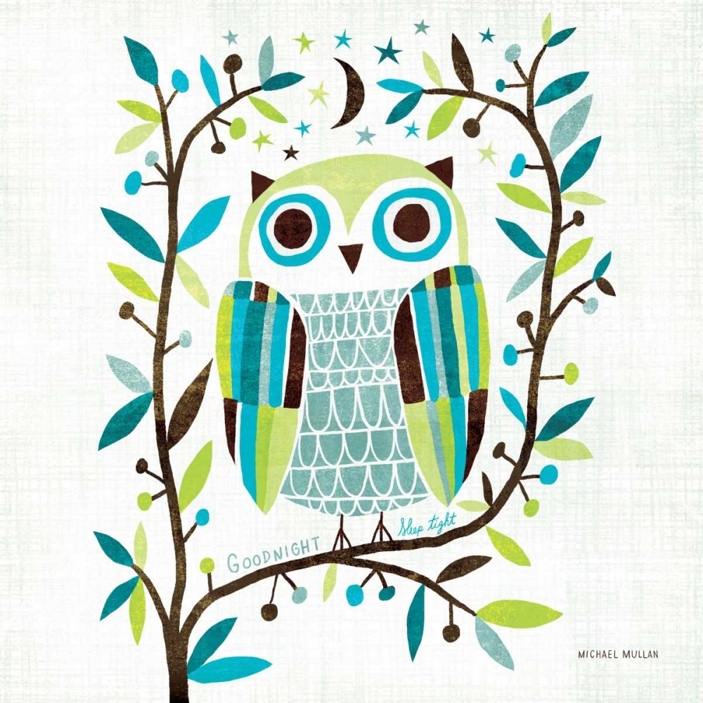 Wall Art Painting id:34003, Name: Night Owl II Square, Artist: Mullan, Michael