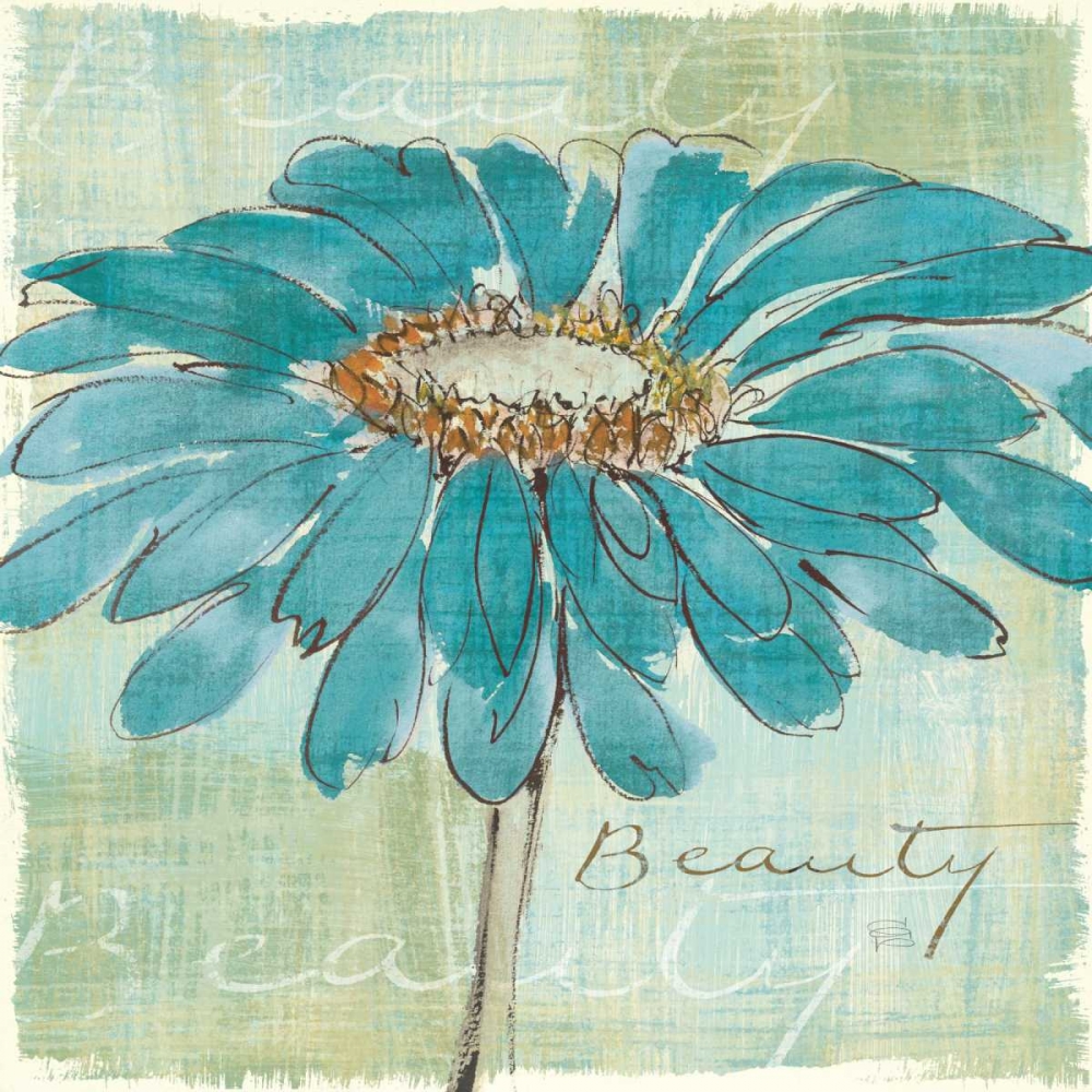 Wall Art Painting id:28037, Name: Spa Daisies I, Artist: Paschke, Chris