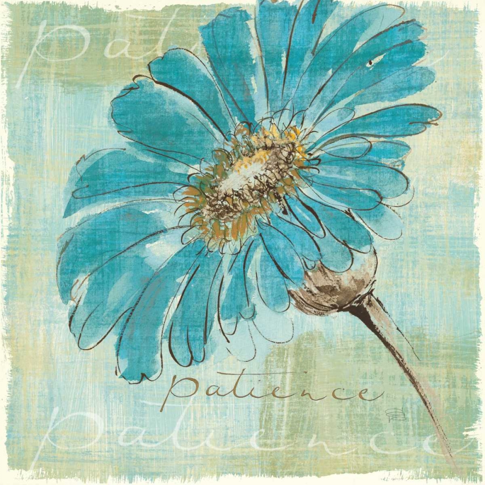 Wall Art Painting id:28038, Name: Spa Daisies II, Artist: Paschke, Chris