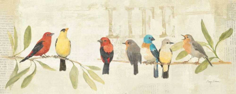 Wall Art Painting id:17903, Name: Adoration of the Magpie Panel II, Artist: Tillmon, Avery