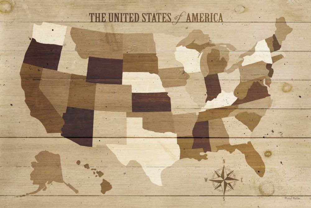 Wall Art Painting id:18447, Name: USA Modern Vintage Wood, Artist: Mullan, Michael