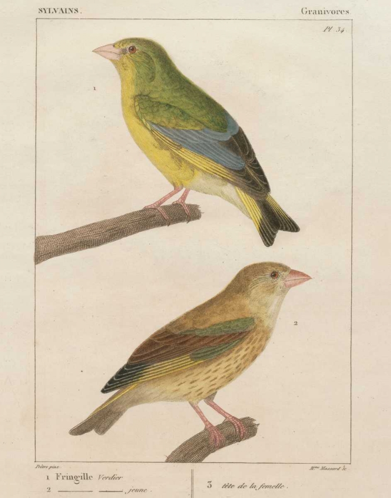 Wall Art Painting id:28333, Name: Sylvains I, Artist: Wild Apple Portfolio