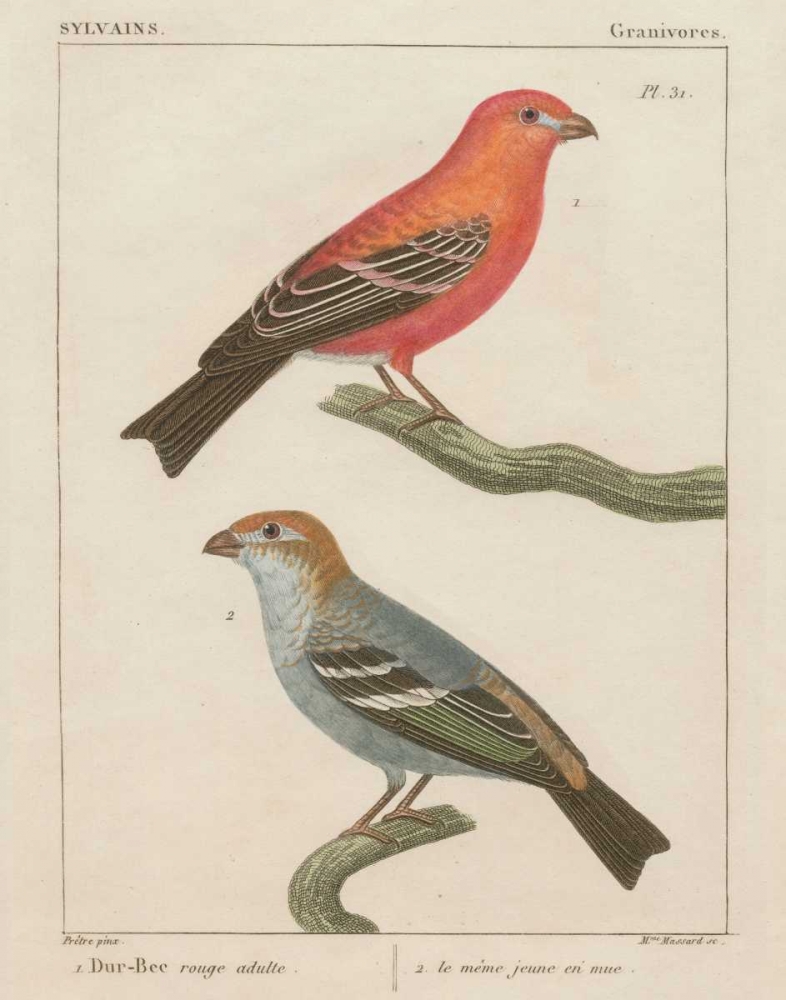 Wall Art Painting id:28334, Name: Sylvains II, Artist: Wild Apple Portfolio