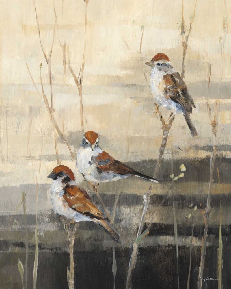 Wall Art Painting id:20900, Name: Evening Sanctuary III, Artist: Tillmon, Avery