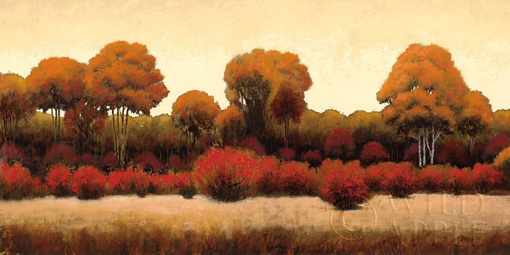 Wall Art Painting id:306969, Name: Autumn Forest III, Artist: Wiens, James
