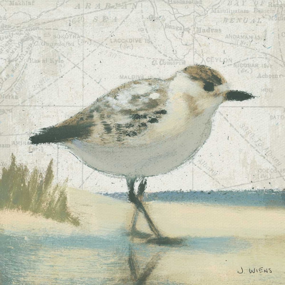 Wall Art Painting id:20941, Name: Beach Bird I, Artist: Wiens, James